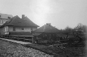 kolofikogvo (4)